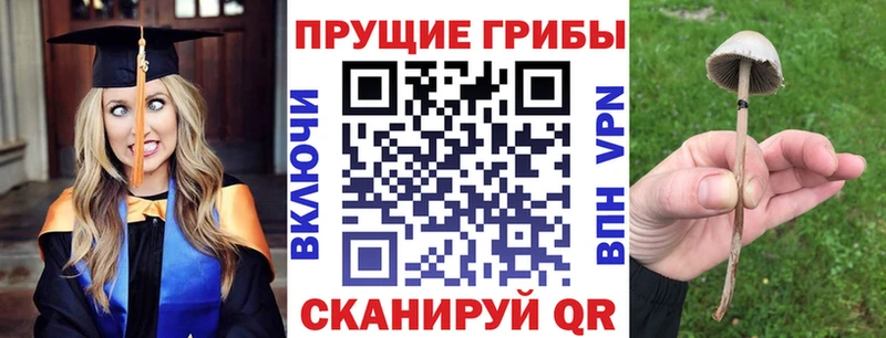 Псилоцибиновые грибы мухоморы  сколько стоит  Ставрополь 
